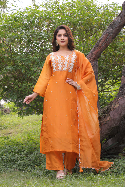 PF8293 - , Kurtis , Ethnic Clothing Festive Collection Hand Embroidery Kurta Sets